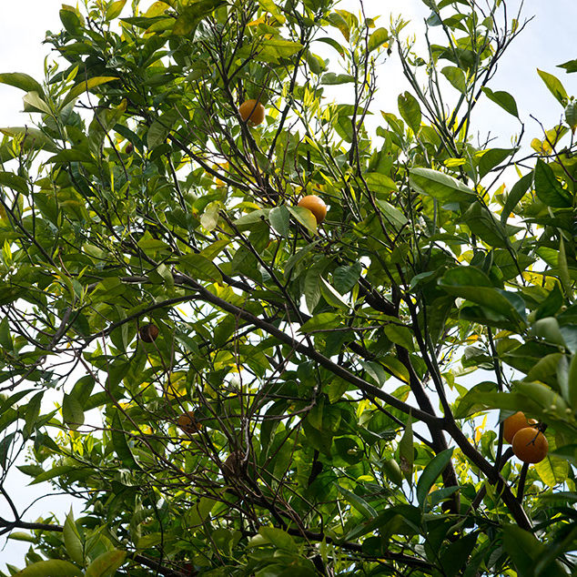 Gli Ambienti Ristorante Polignano a Mare
